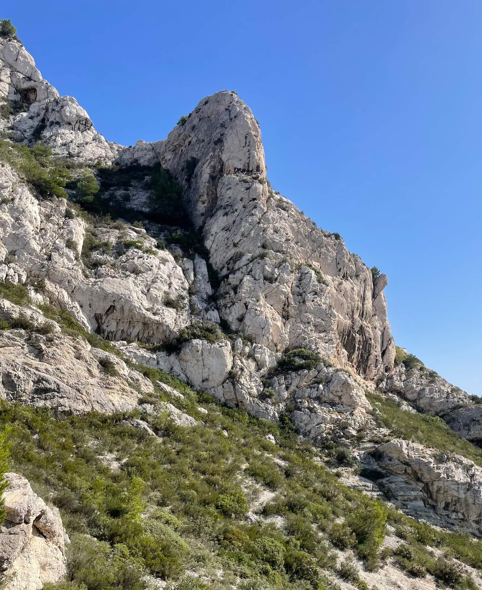 IMG_5392.jpg__PID:94860dba-3cb1-4b85-89b1-eb34d118eadf